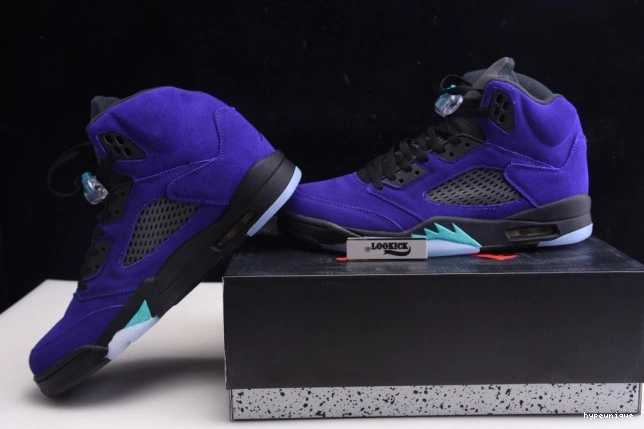 HYPE 5 136027-500 Alternate Grape Jordan Air Retro 0811